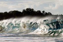 Load image into Gallery viewer, Makena Mana T-Shirt