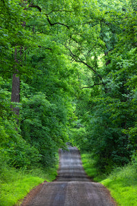 Country Road