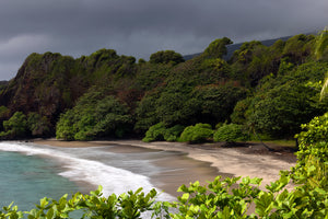 Heavenly Homoa
