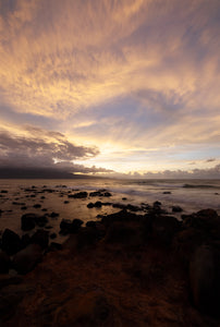 The Last Light