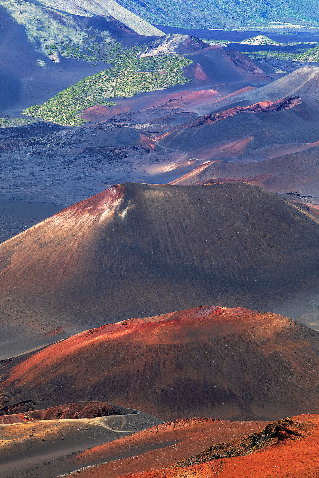 The Land Of Color