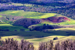 Upcountry Colors