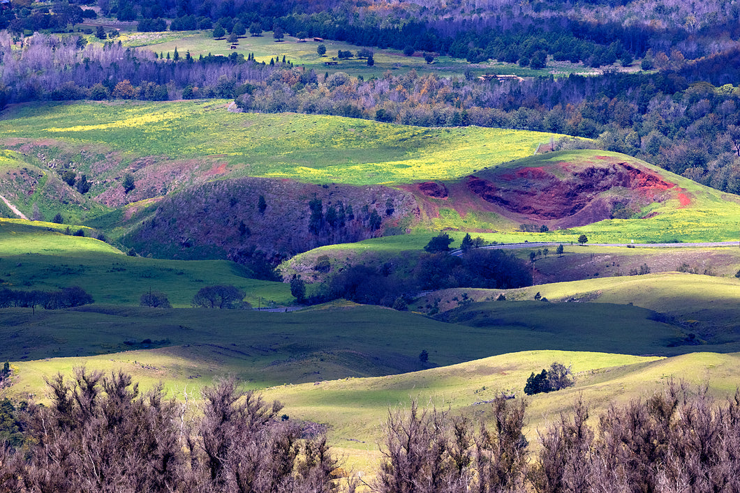 Upcountry Colors