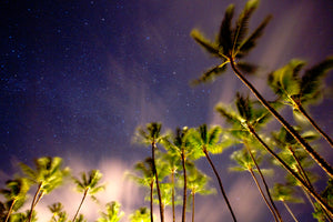 A Maui Dream