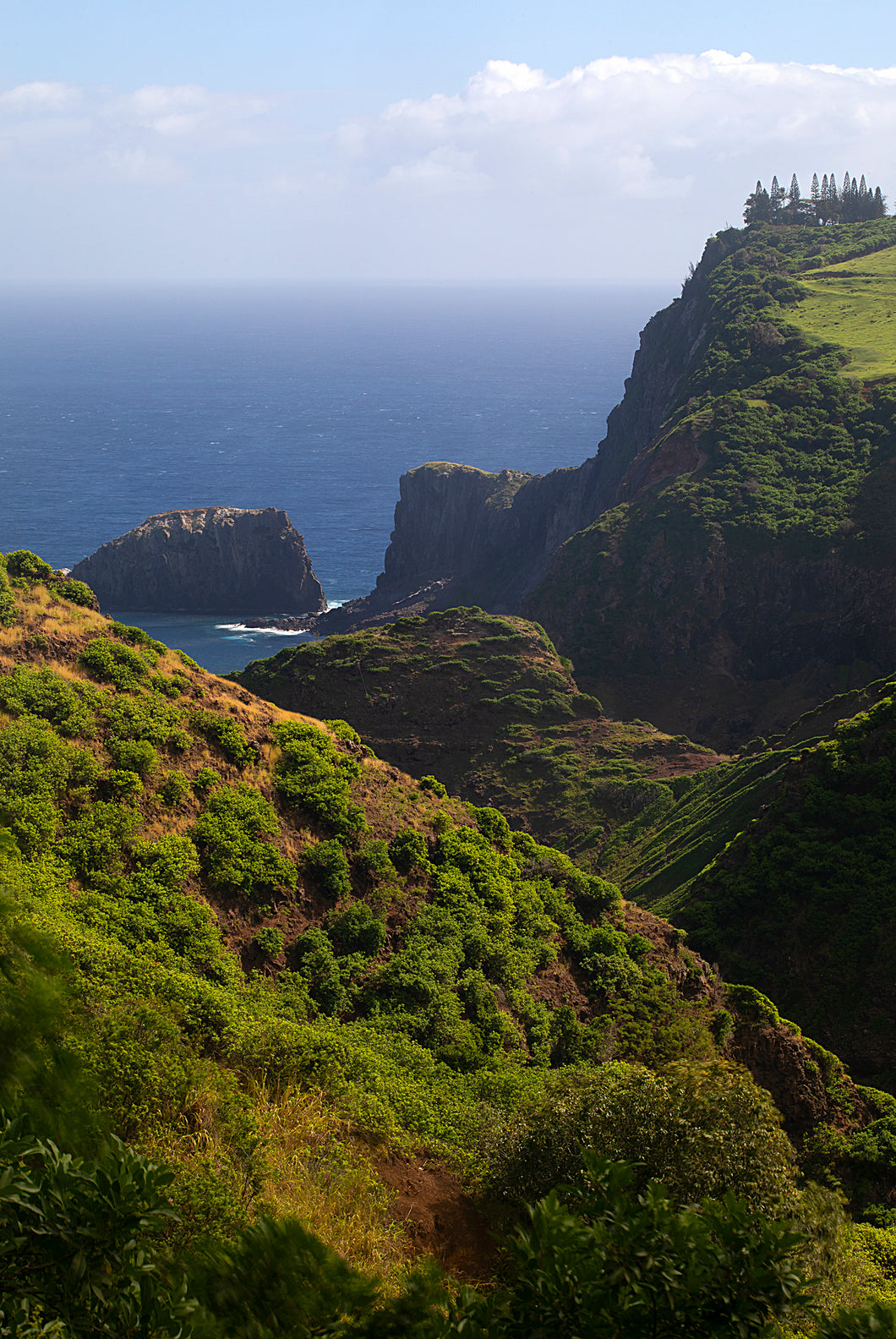 Cliffside