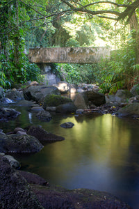 Country Bridge