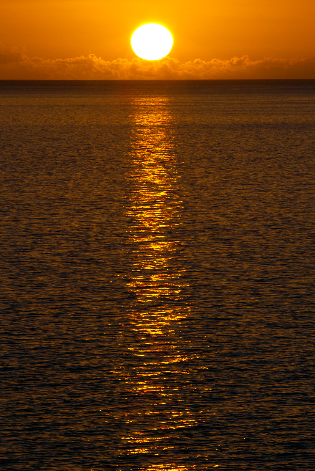 Evening Orange