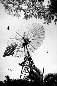 Flowing With The Wind