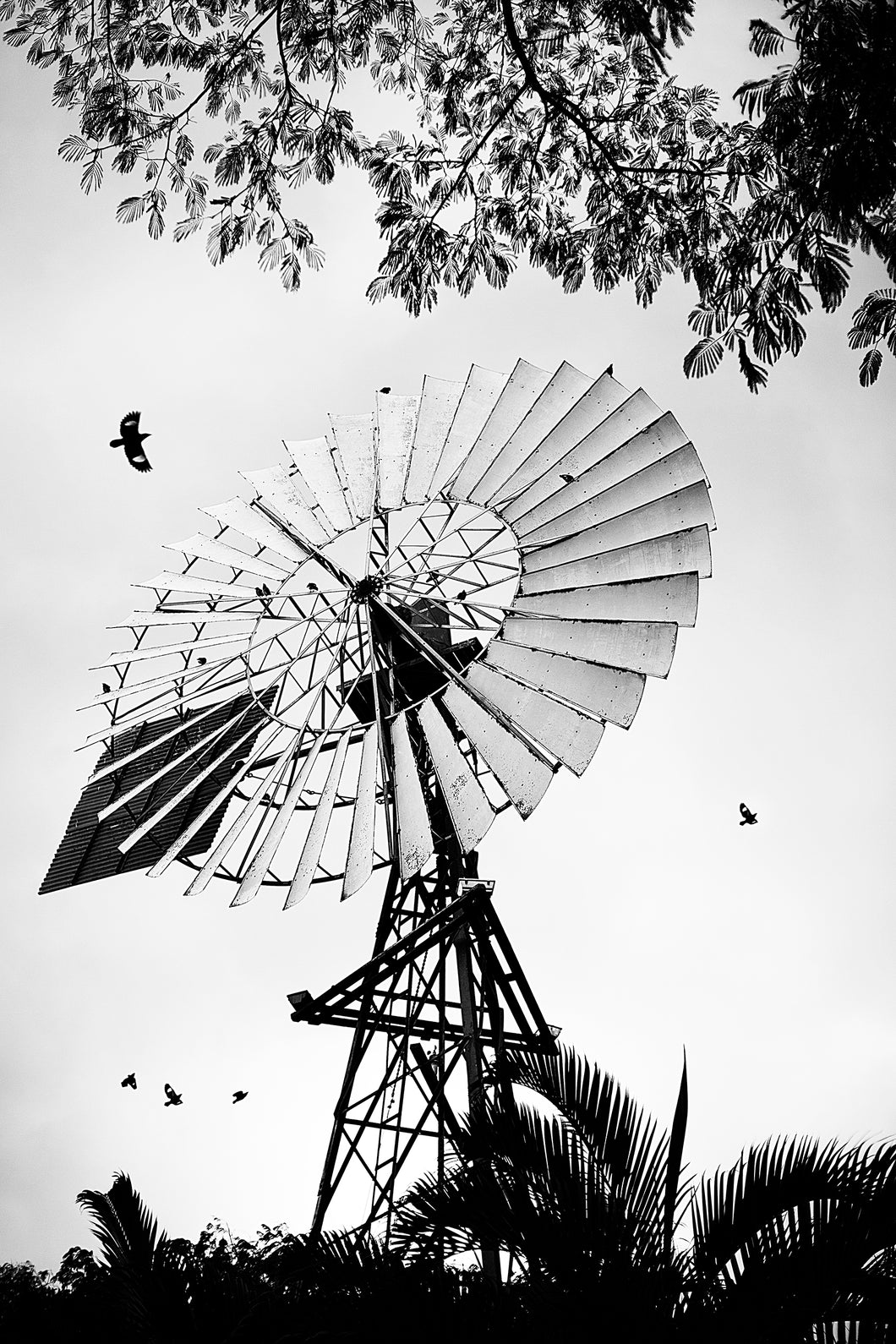 Flowing With The Wind
