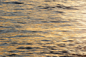 Golden Hour