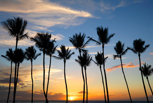 Hawaii Living