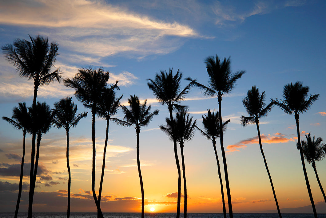 Hawaii Living