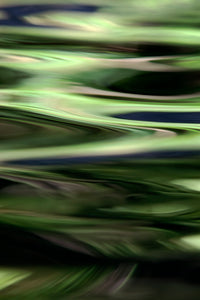 Jungle Fusion