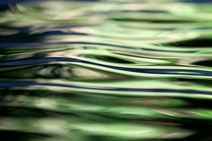 Jungle Eye