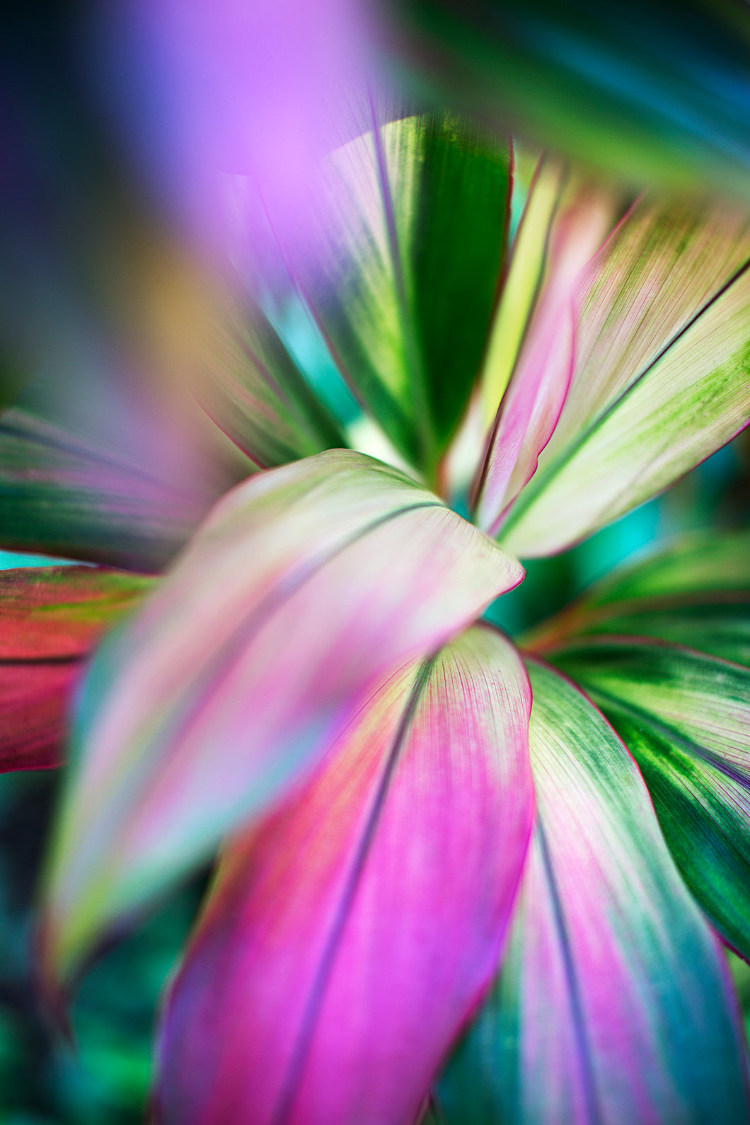 Leafy