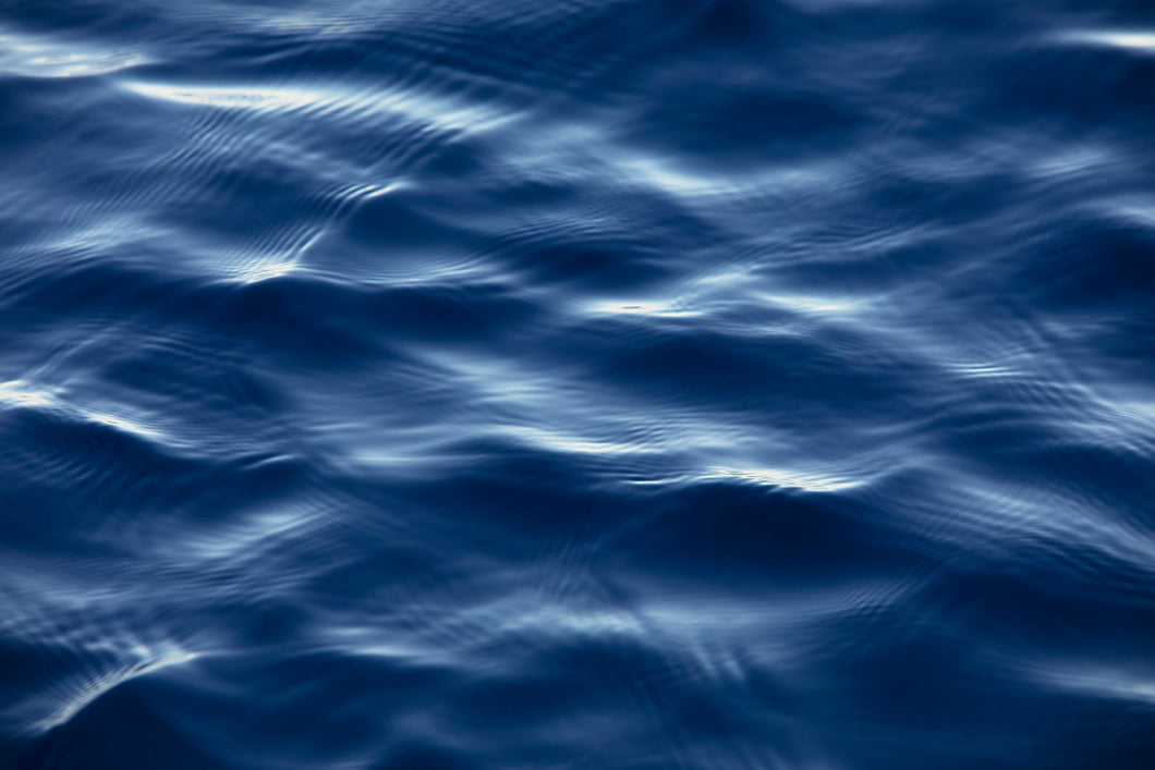 Whale Blue