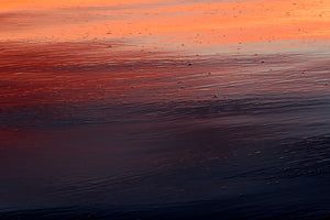 Maui Shores