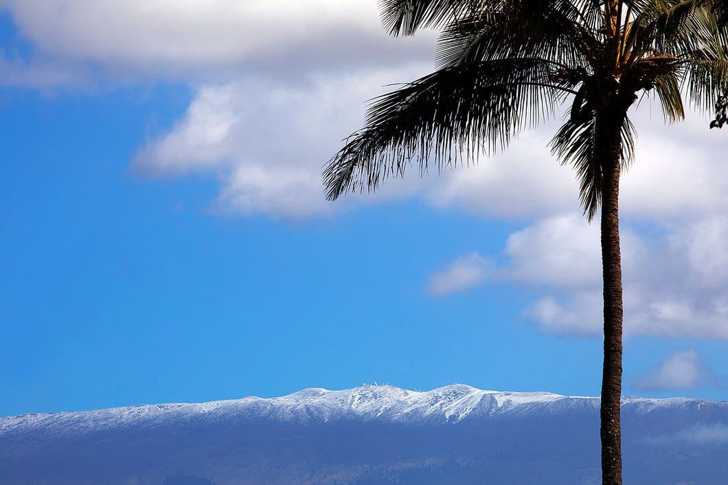Maui Winter