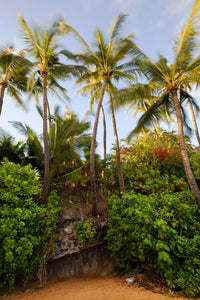 Maui's Secret