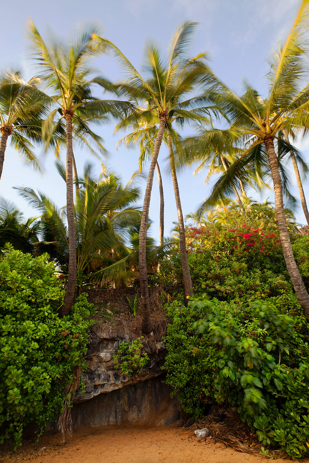 Maui's Secret