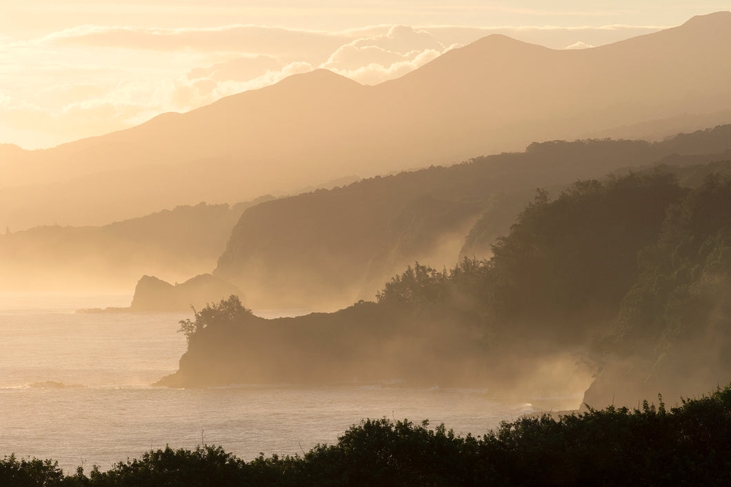 Morning Mist