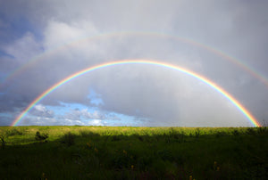 Rainbow Country