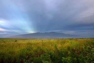 Rising Light