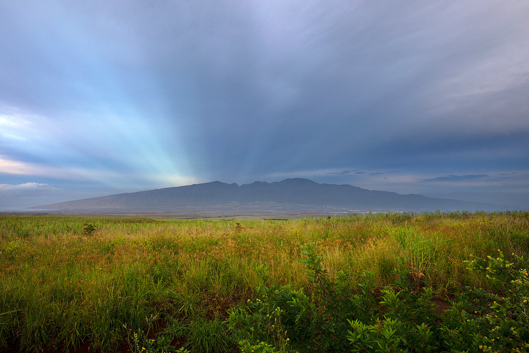 Rising Light
