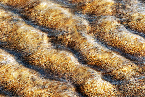 Sandpiles
