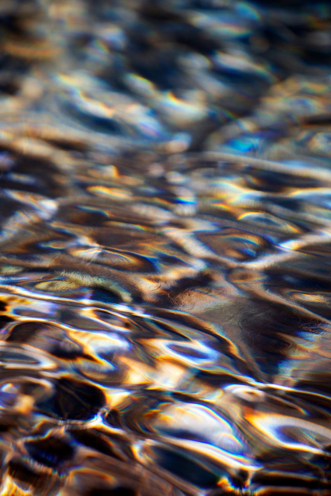 Shimmery Sands
