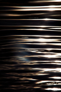The Dark Light