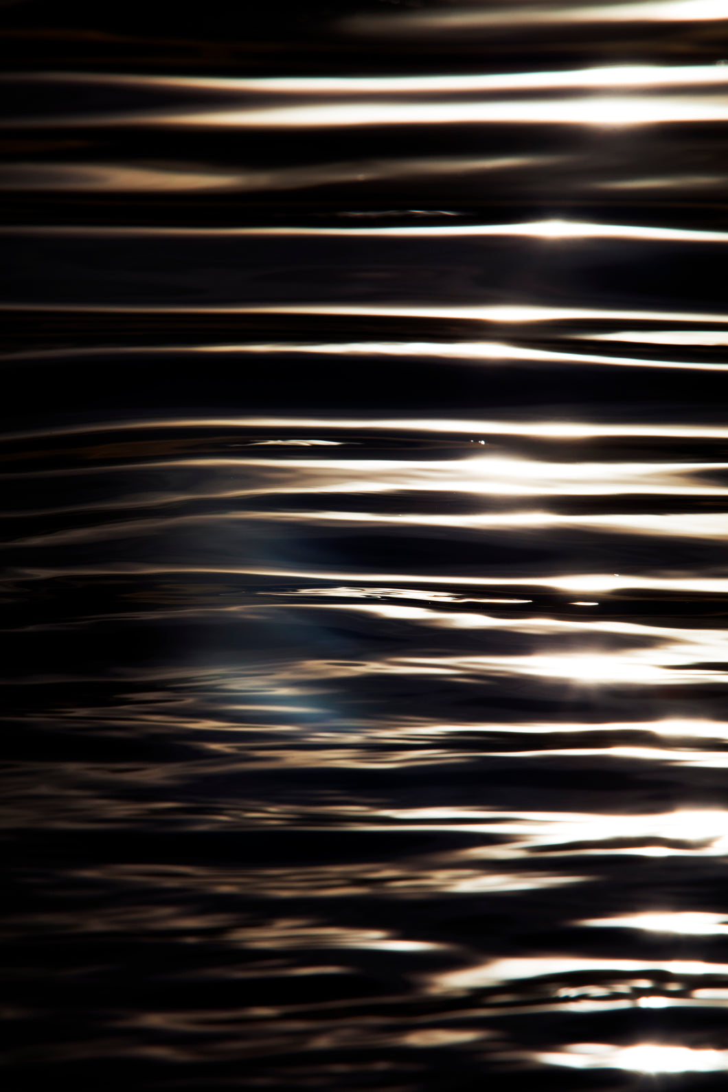 The Dark Light