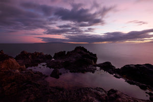 The Purple Pool