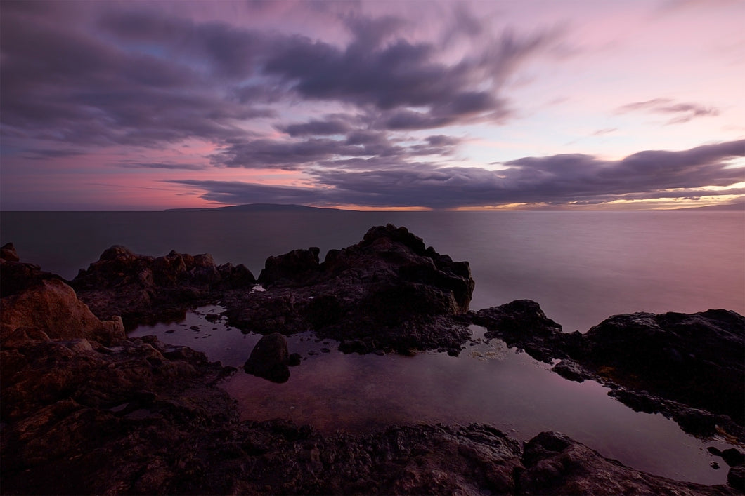The Purple Pool