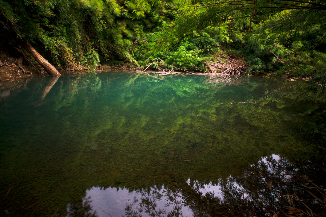 The Zen Zone