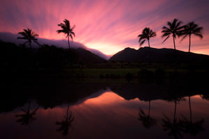 Tropical Paradises