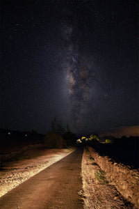 Trust The Path