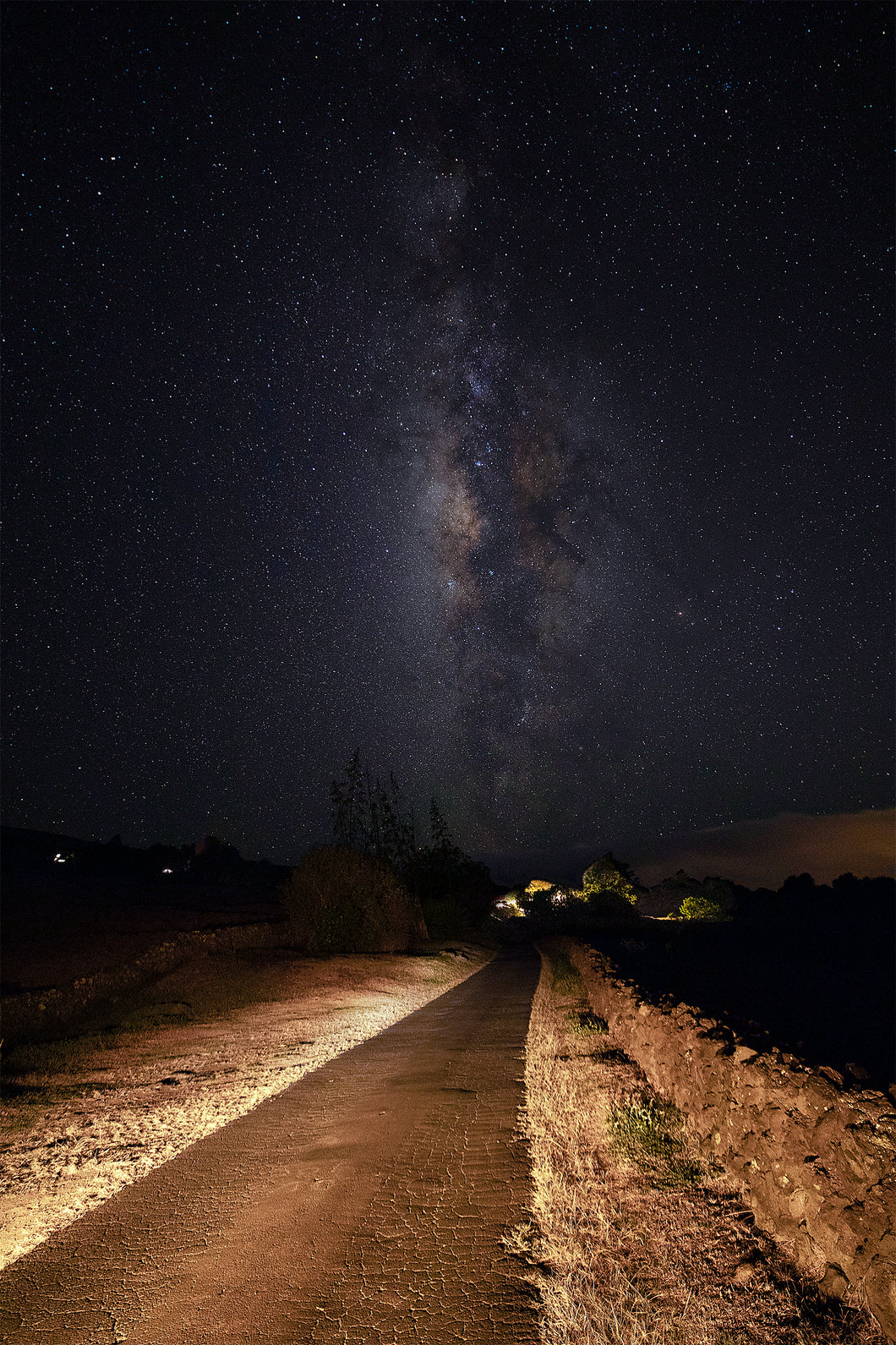 Trust The Path