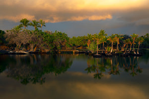 Twilight Fantasy
