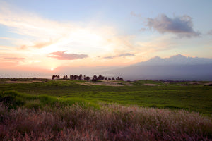 Upcountry